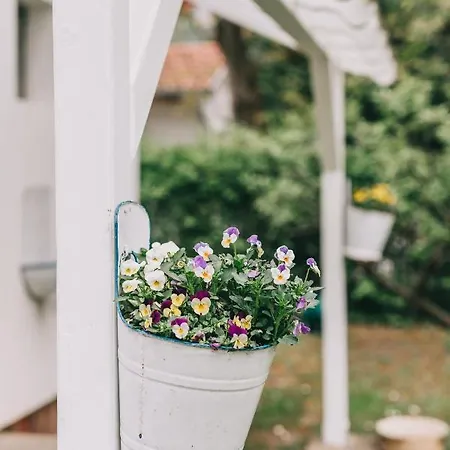 別荘 Csonakos Haz / The Boat House