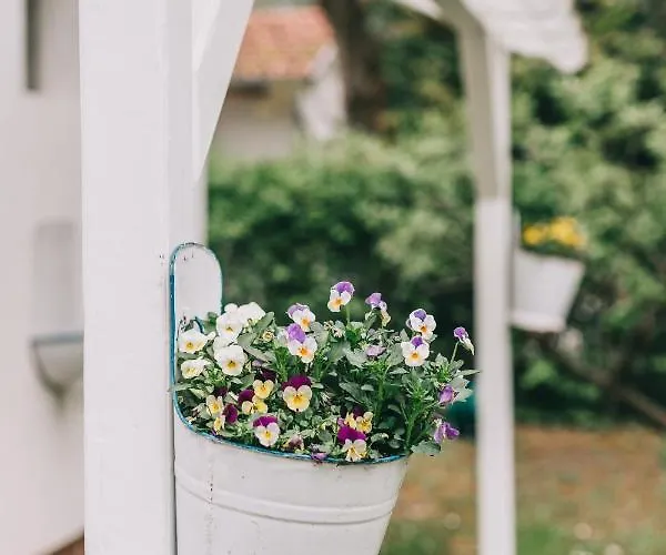 בית נופש Csonakos Haz / The Boat House